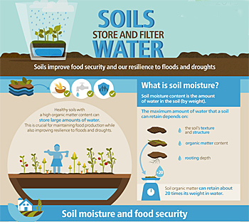 dws-coag25-soil-water-infographic1-350px