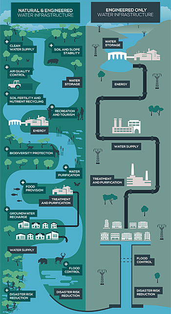 dws-cop21-deltares-iucn-go-with-the-flow-infographic2-350px