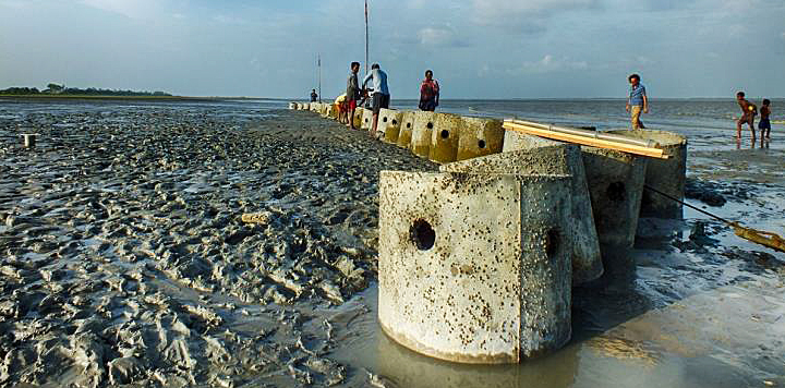 dws-ecobas-oyster-reef-bangladesh-coast-720px