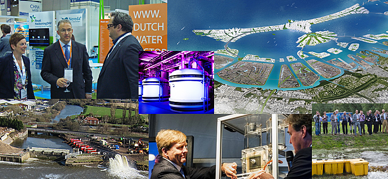 dws-2014-top-15-collage-770px