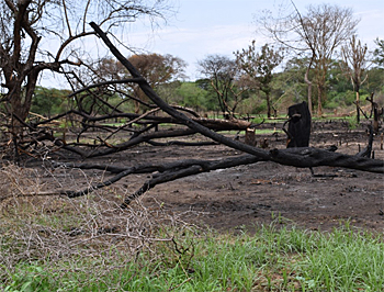 dws-acacia-south-suden-burned-areas-350px