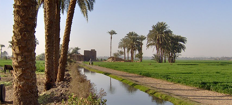 dws-alterra-egypt-assuit-agri-770px