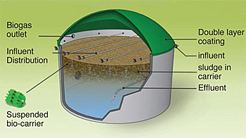 dws-aqana-zuvamesa-dacs-scheme-350px