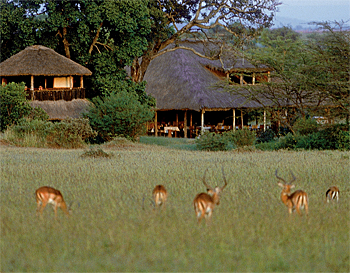 dws-aqua-nirvana-filters-camp-maasai-mara-350px