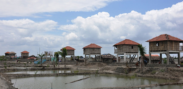 dws-bandudeltas-elevated-homes-770px-1