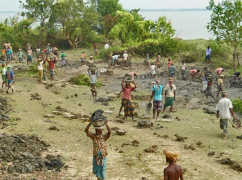 dws-cordaid-green-levee-bangladesh-construction-350px