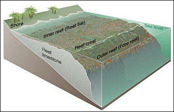 dws-deltares-beware-shore-scheme-350px