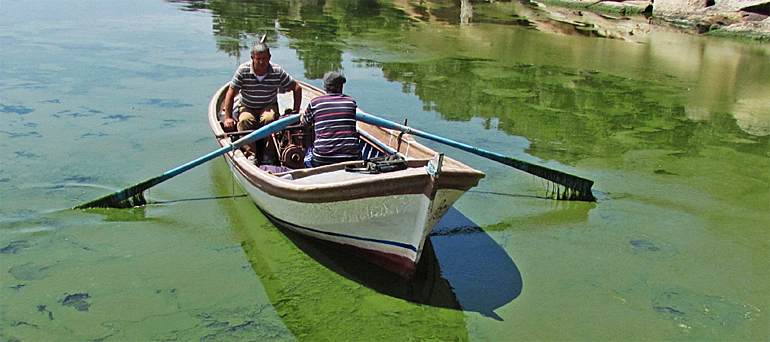 dws-deltares-buyuk-menderes-algae-bloom-770pxjpg