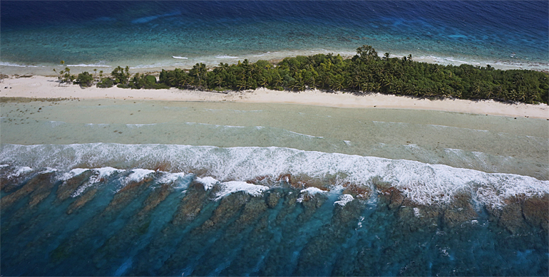 dws-deltares-coral-reefs-aerial-770px