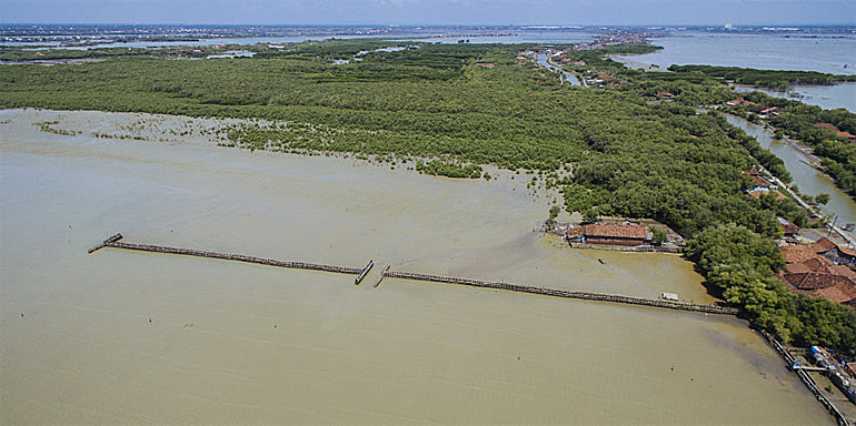 dws-deltares-demak-coast-aerial2-770px