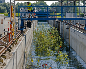 dws-deltares-flume-willows-waves-remaining-350px-1