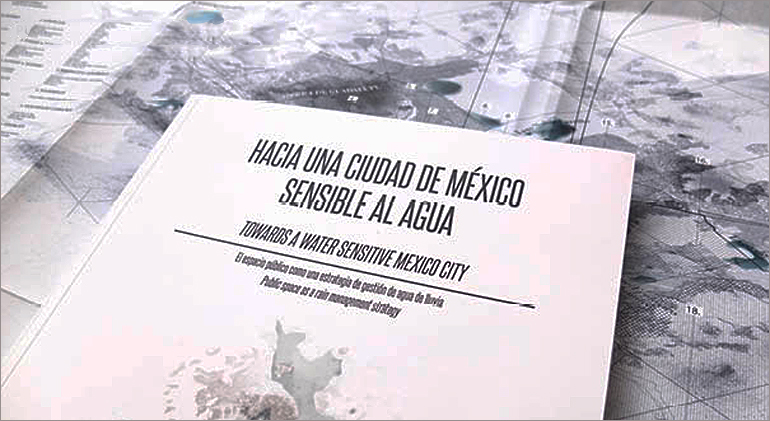 dws-deltares-mexico-strategy-document-770px