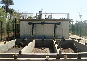 dws-egypt-platform-wwtp-in-egypt-300px