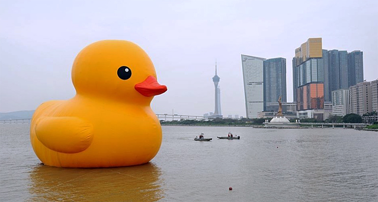 rubber duck on water