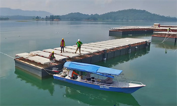 dws-holland-floating-ferry-terminal-malaysia-350px