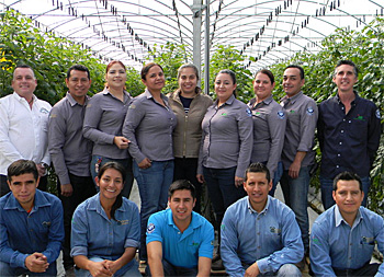 dws-hortimax-agr-cola-oliveros-personel-350px