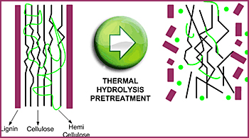 dws-host-wwtp-echten-thp-scheme-350px