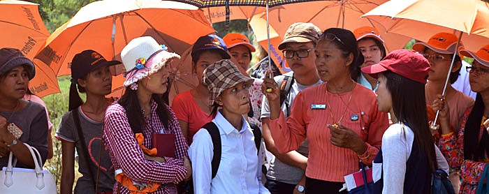 dws-hwc-myanmar-2-umbrellas-700px