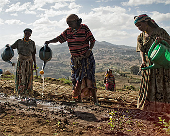 dws-ienm-gceca-farming-350px