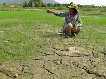 dws-ienm-vietnam-drought-350px