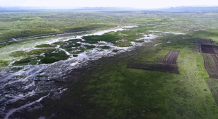 dws-ihe-wetlands-tanzania-aerial-750pxjpg-1