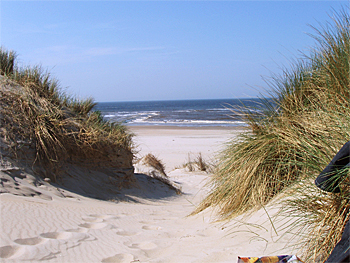 dws-imares-wadden-sea-dunes-350px