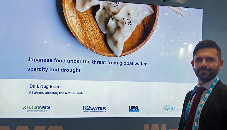 dws-iwa-japan-waterfootprint-ercin-770px