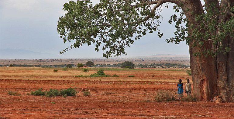 dws-justdiggit-tanzania-baobab-tree-770px