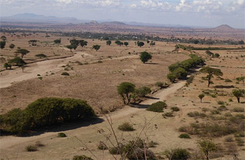 dws-justdiggit-tanzania-landscape-350px