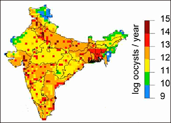 dws-kwr-cryptosporidium-map-india-350px