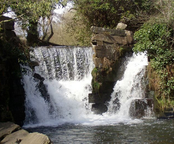 dws-landustrie-screw-turbine-penllergare-waterfall-350px