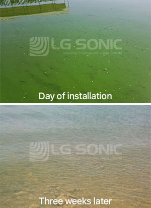 dws-lgsonic-lake-qaraoun-quality-300px