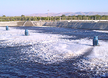 dws-logisticon-turkey-aeration-basin-arizu-350px