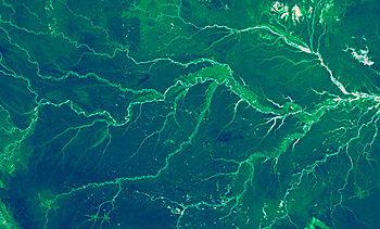 dws-nwo-water-jpi-satelite-image-350px