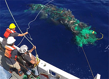 dws-ocean-clean-up-pacific-collection-350px