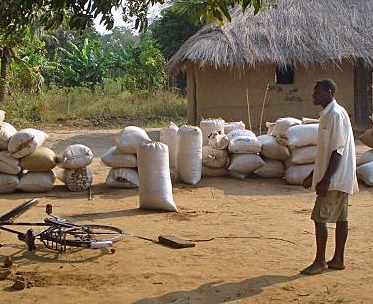 dws-rhdhv-irrigation-mozambique-farmer-350px