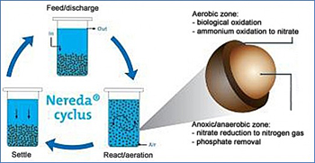 dws-rhdhv-nereda-imtech-scheme-granule-350px