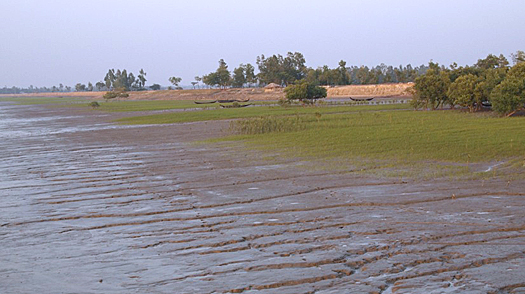 dws - rhdhv oysters bangladesh coast 525px