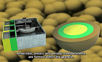 dws-rhdhv-wwtp-epe-granule-compartments-scheme-350px