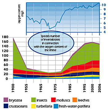 dws-river-award-river-diagram-species-350px-jpg