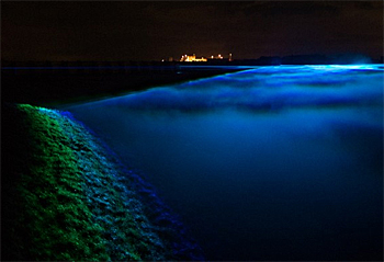 dws-roosegaarde-flood-line-350px