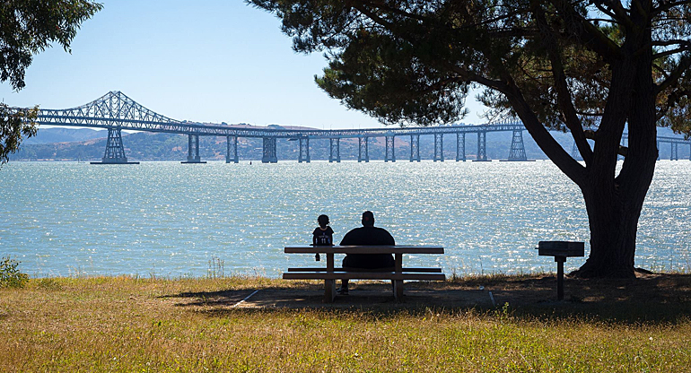 dws-sf-bay-10-teams-bridge-park-770px