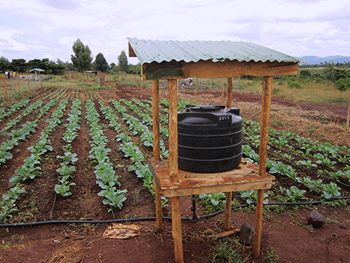 dws-snv-smart-farming-drip-irrigation-kenya-350px