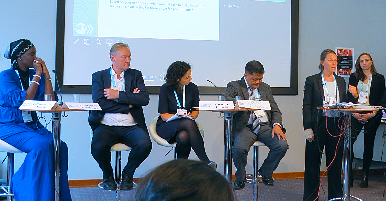 dws-swww-blended-finance-panel2-770px