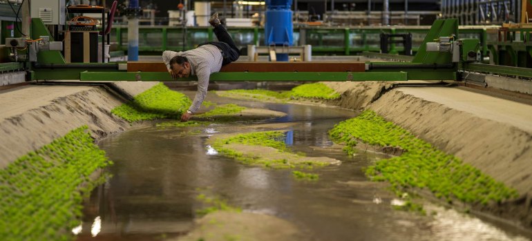 dws-tudelft-waterlab-plasticplants770px