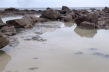 dws-tvo-yorkshire-water-out-fall-cornelain-bay-350px