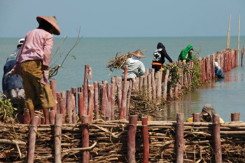 dws-twijnstragudde-iczm-buidling-dam-demak-350px