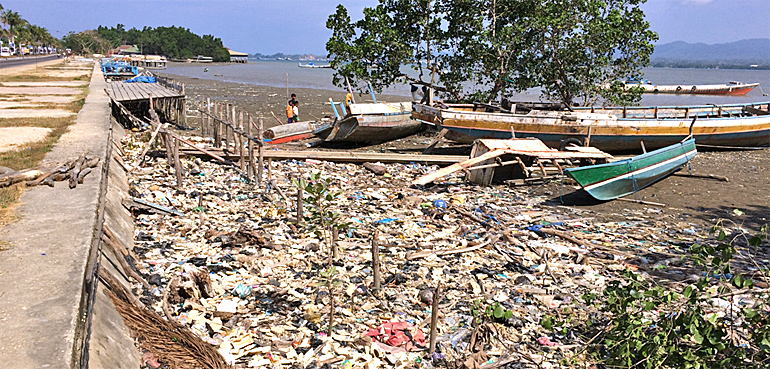 dws-unesco-ihe-mangroves-kendari-bay-770px