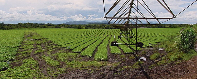 dws-unesco-ihe-mara-river-basin-irrigation-770px-1