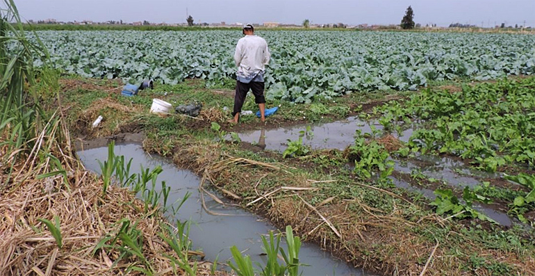 dws-unesco-ihe-nile-water-lab-salam-canal-770px